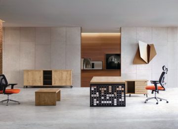VIP-Office (17)